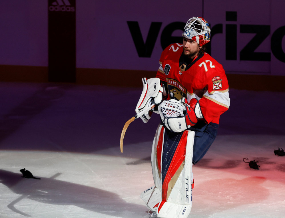 NHL goalie lined up before the game