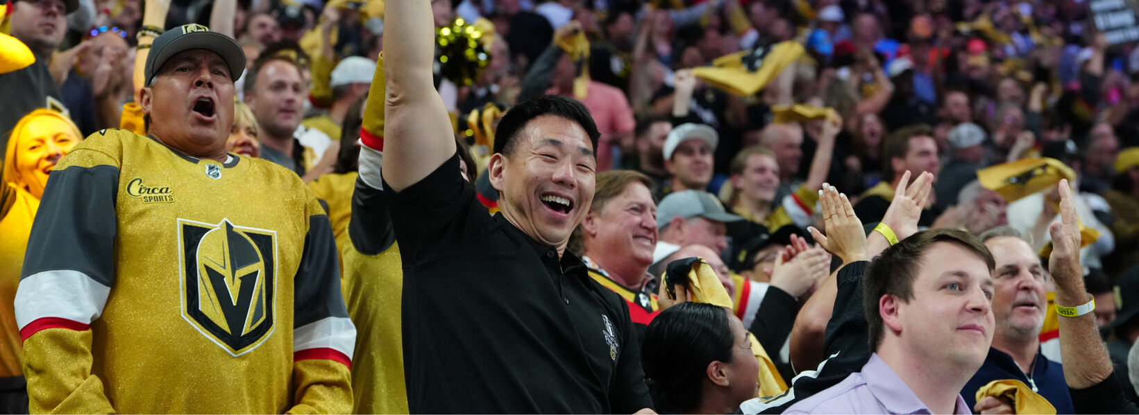 Fans at a NHL Hockey Game