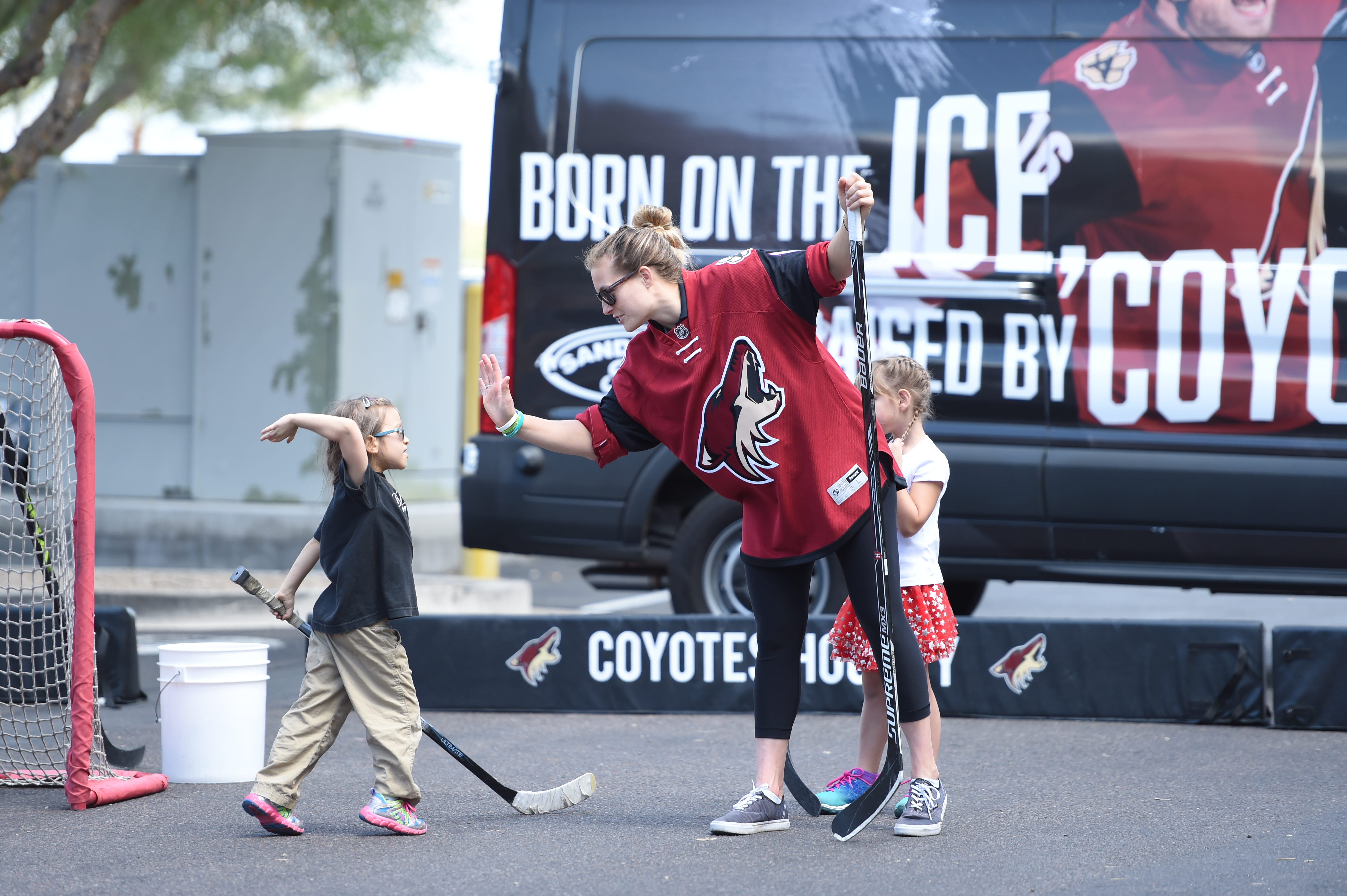 Coyotes - NHL - Hockey