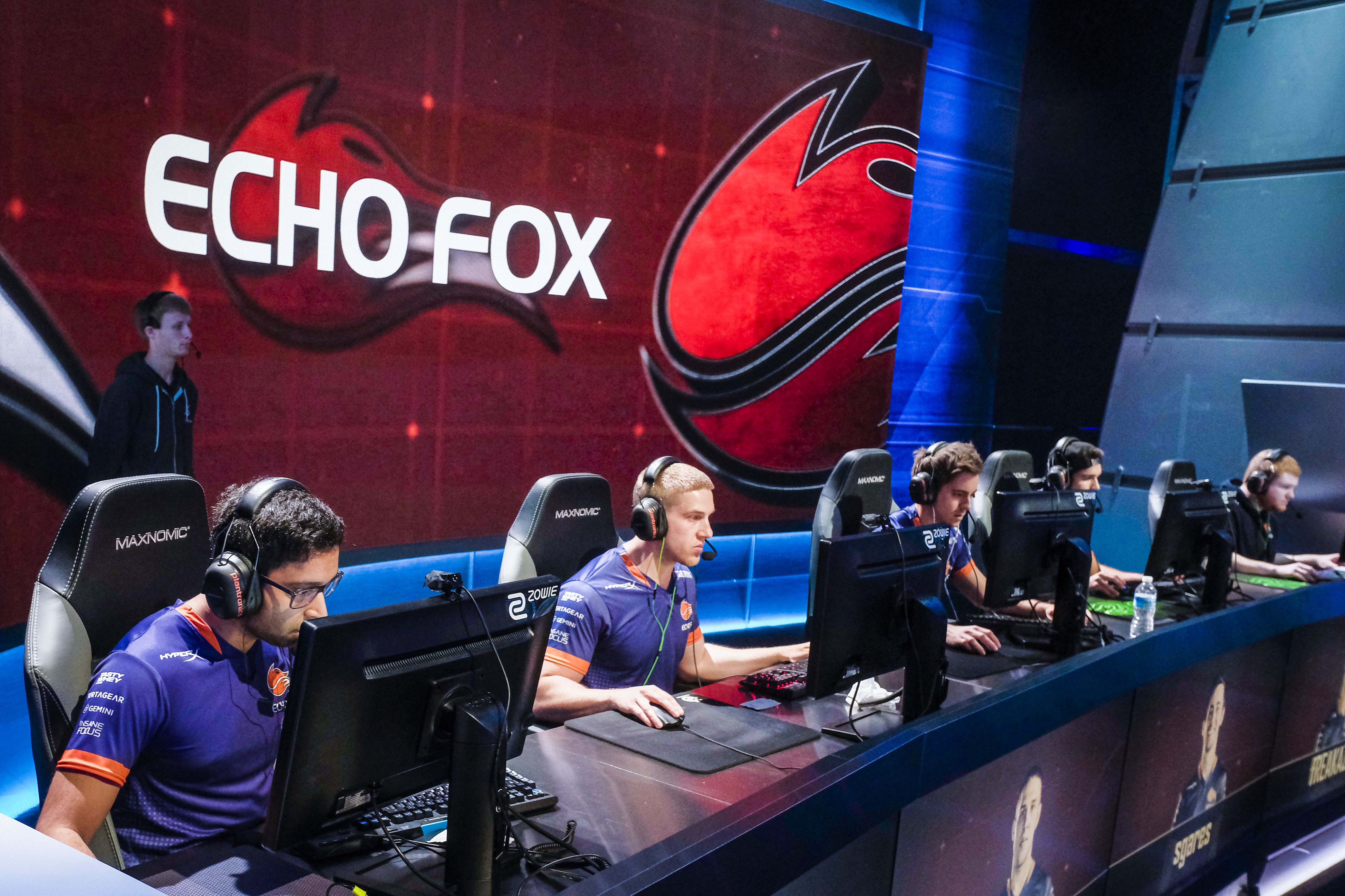 Celsius Echo Fox