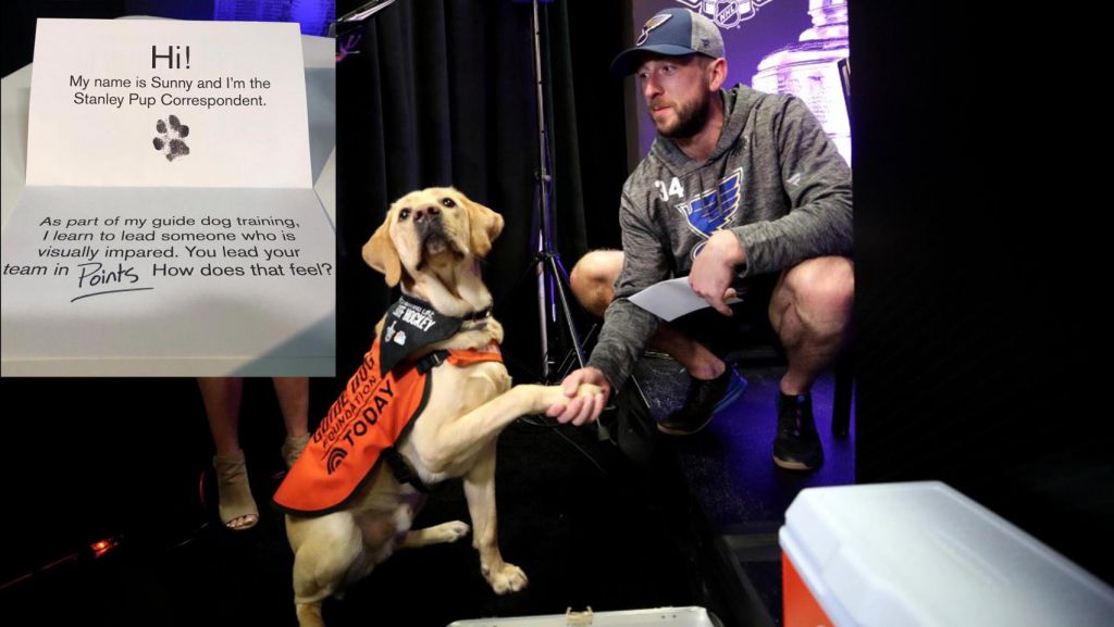 stanley-pup-nhl-nbc-sports
