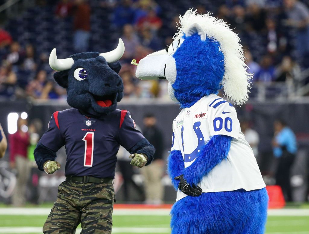 team-mascots-at-home