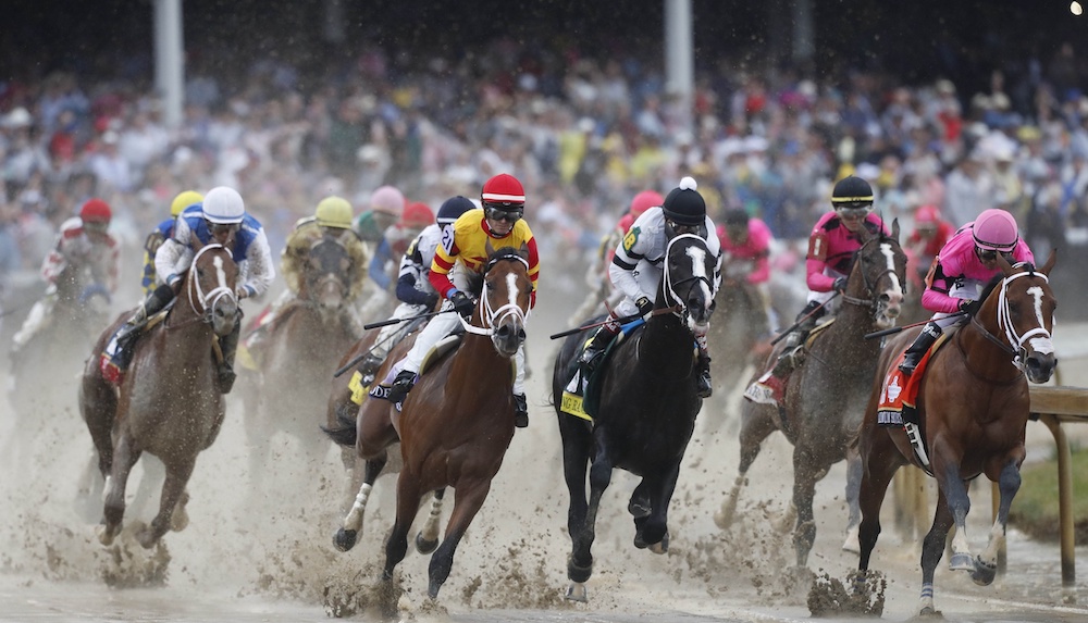 racing horses