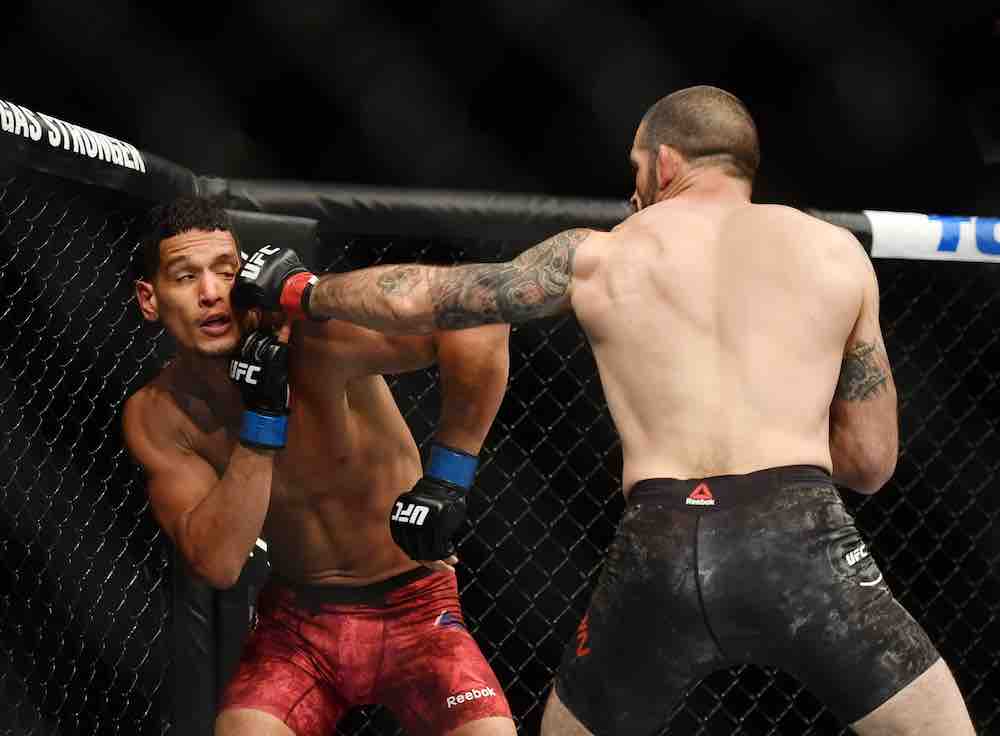 UFC punch