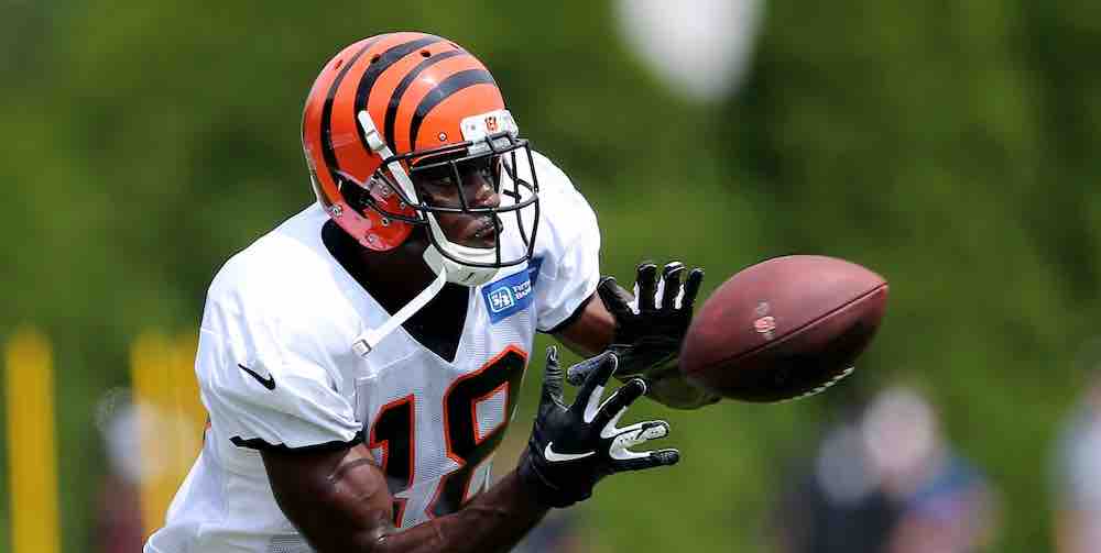 Bengals Football