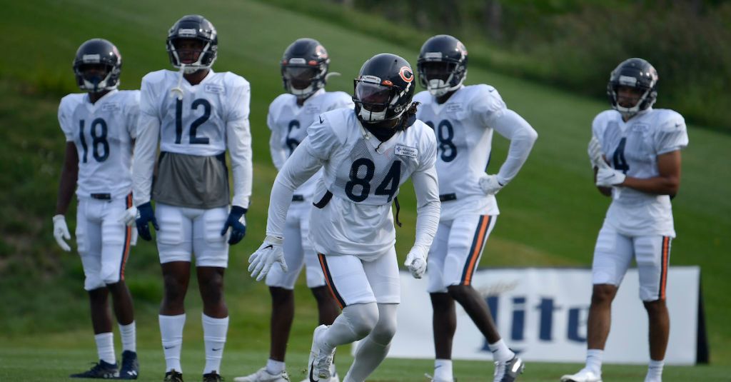 Bears