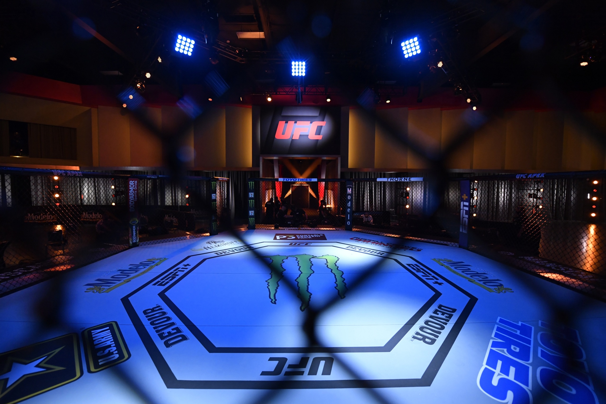 ufc pay-per-veiw