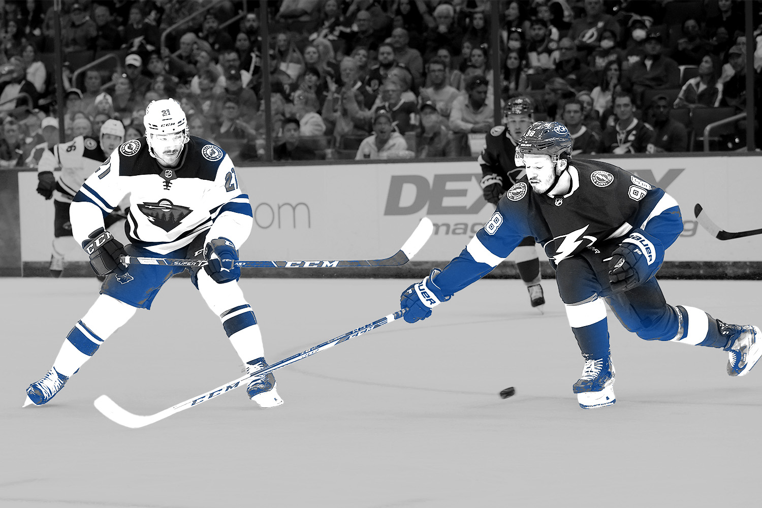 Arctos-NHL-Minnesota-Wild-Tampa-Lightning