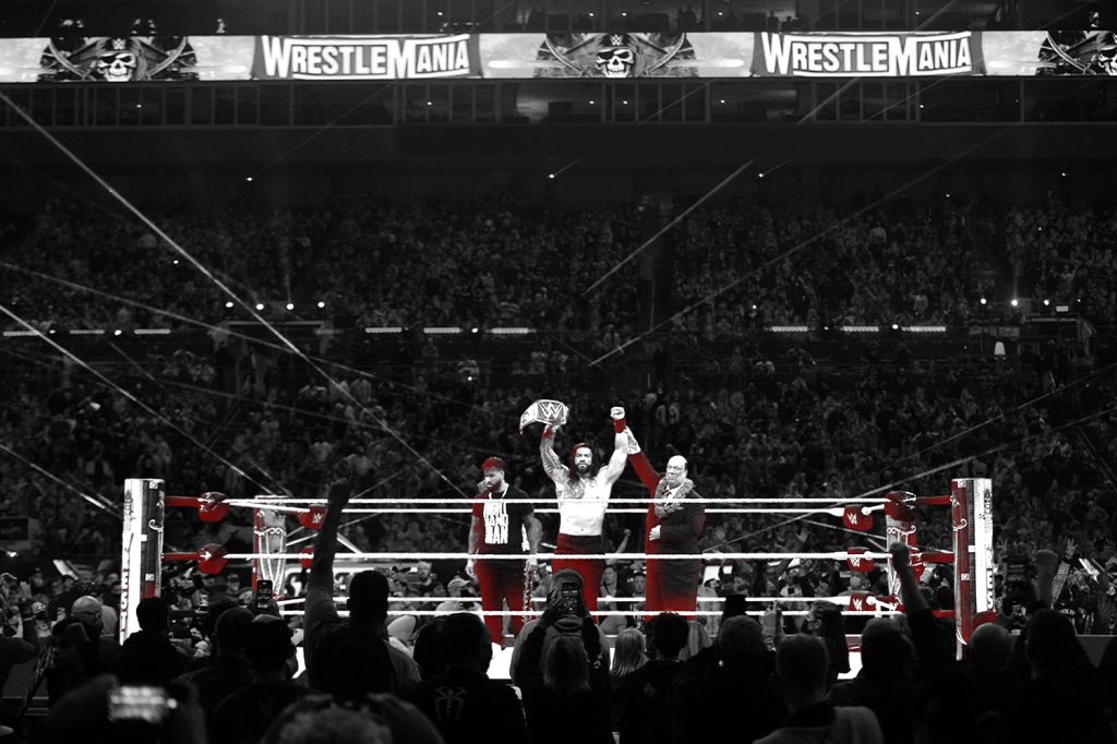 WWE-Fanatics