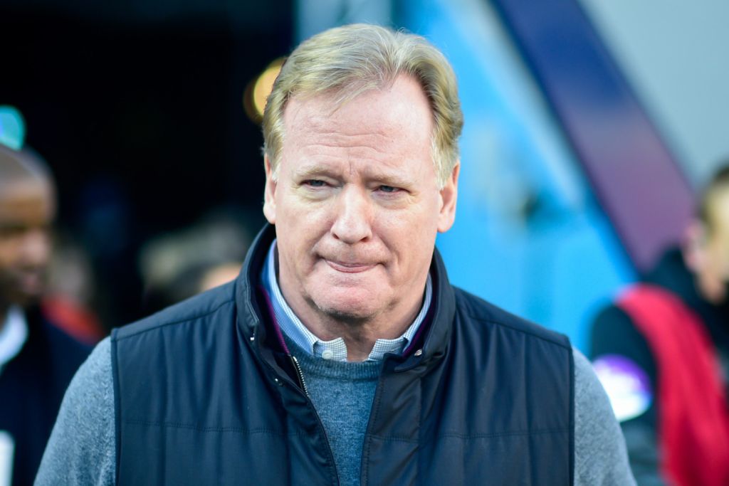 Roger-Goodell-on-field