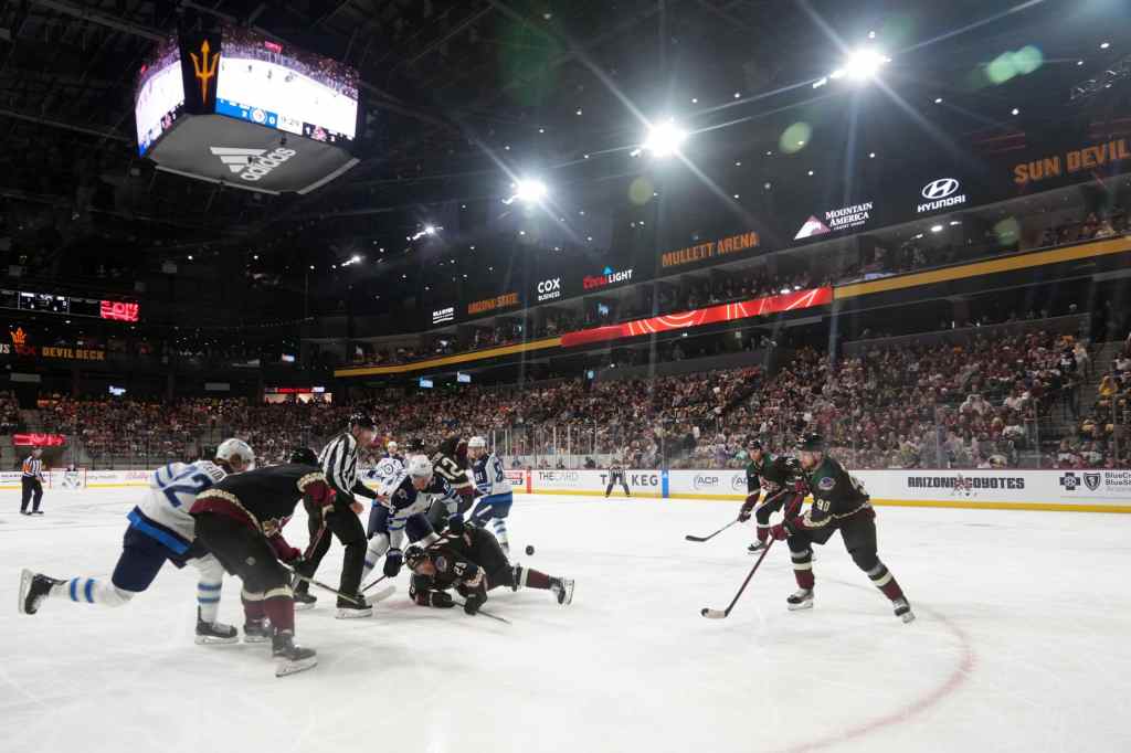 Arizona Coyotes