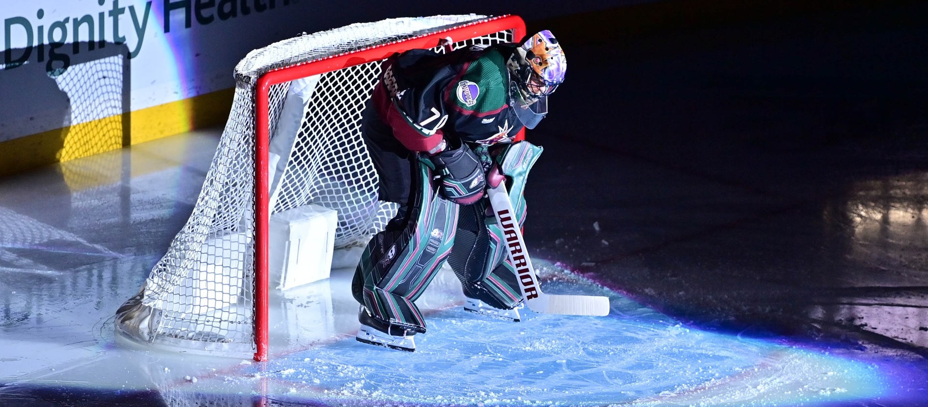 Arizona Coyotes