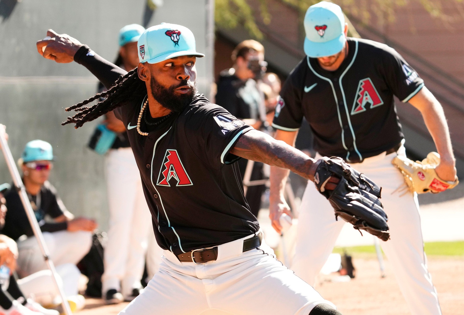 Arizona Diamondbacks