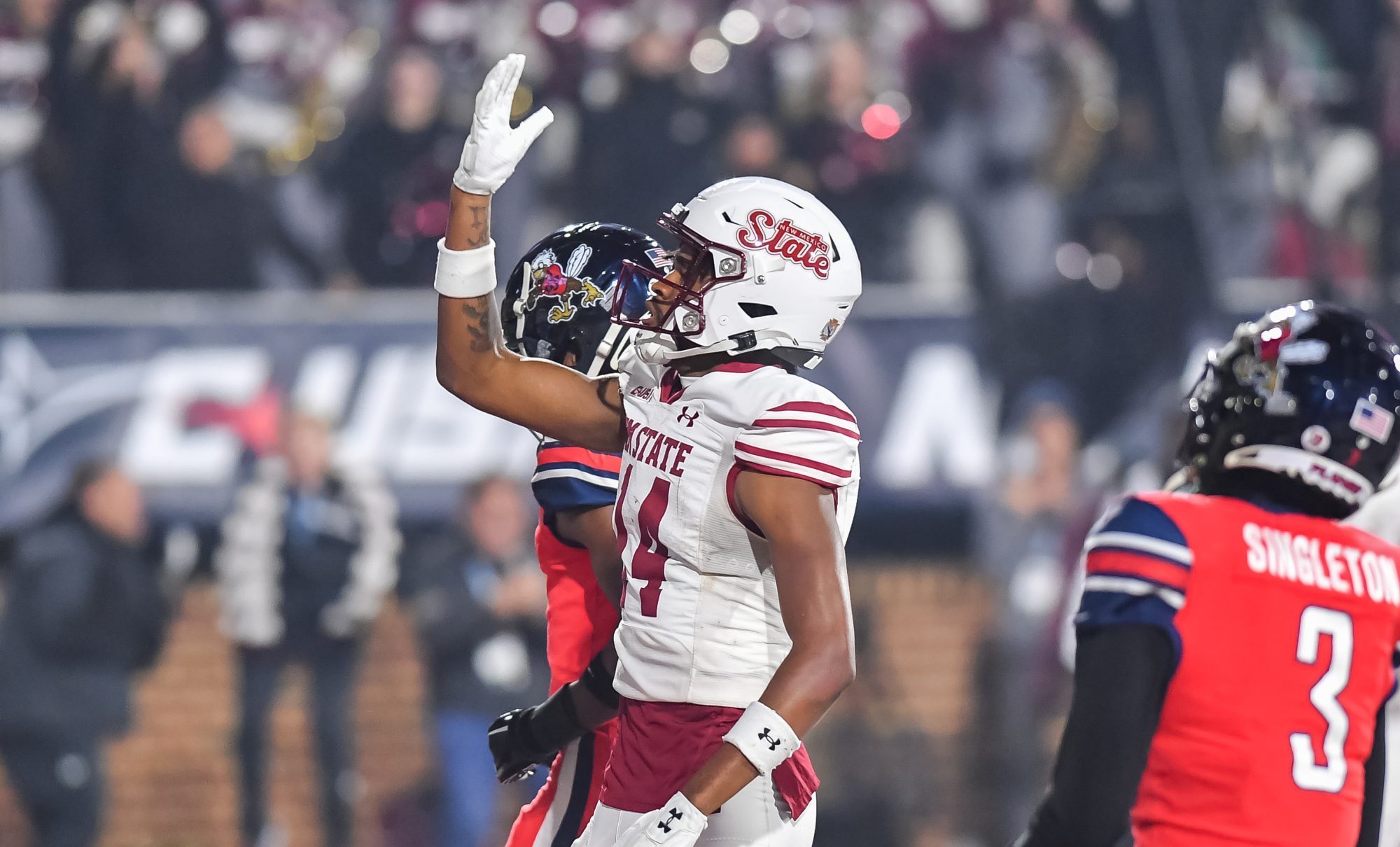 Dec 1, 2023; Lynchburg, VA, USA; New Mexico State Aggies wide receiver Trent Hudson (14) celebrates a touchdown catch against the Liberty Flames during the fourth quarter at Williams Stadium.