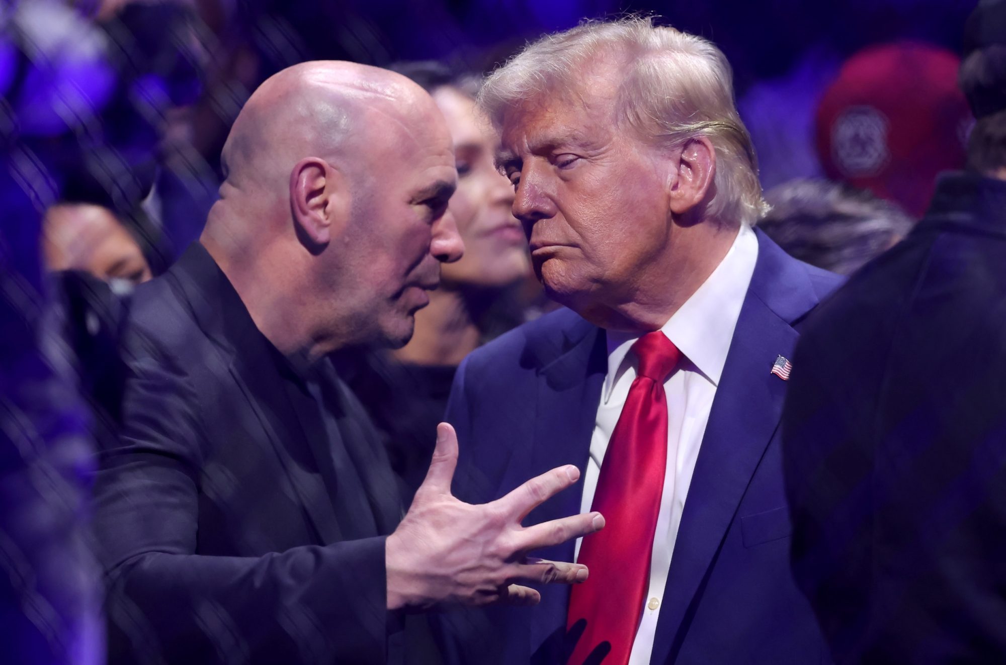 Trump and Dana White