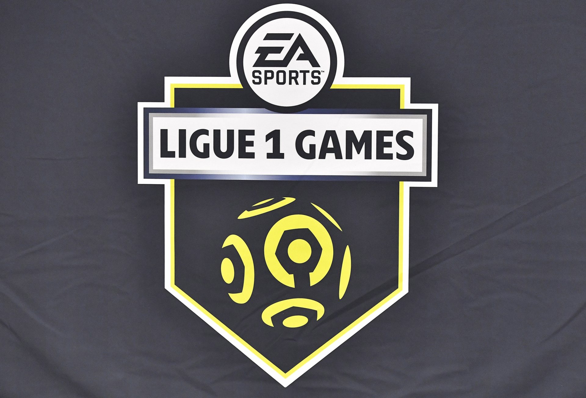 May 20, 2019; Washington, DC, USA; General view of logo for Ligue 1 Games at Audi Field. Mandatory Credit: Brad Mills-USA TODAY Sports