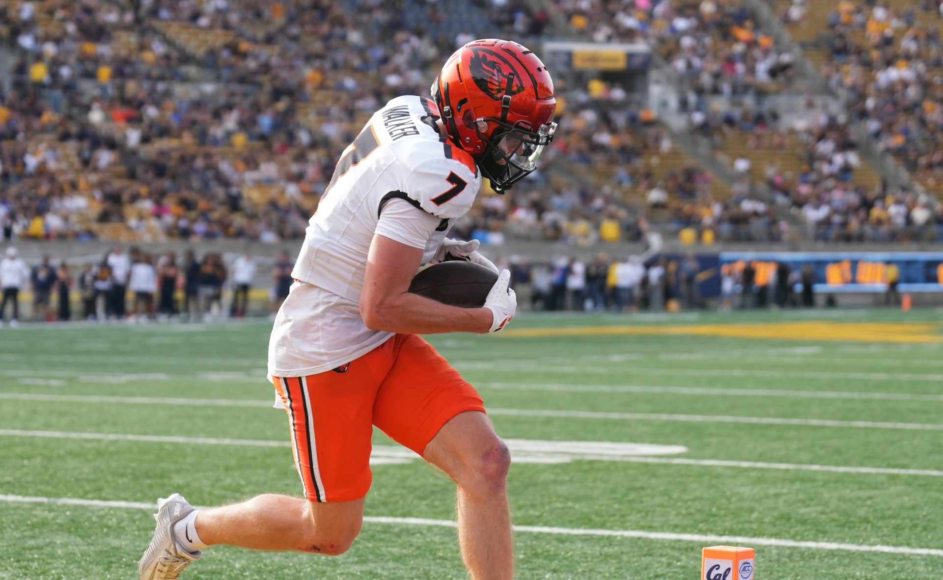 NCAA Football: Oregon State at California