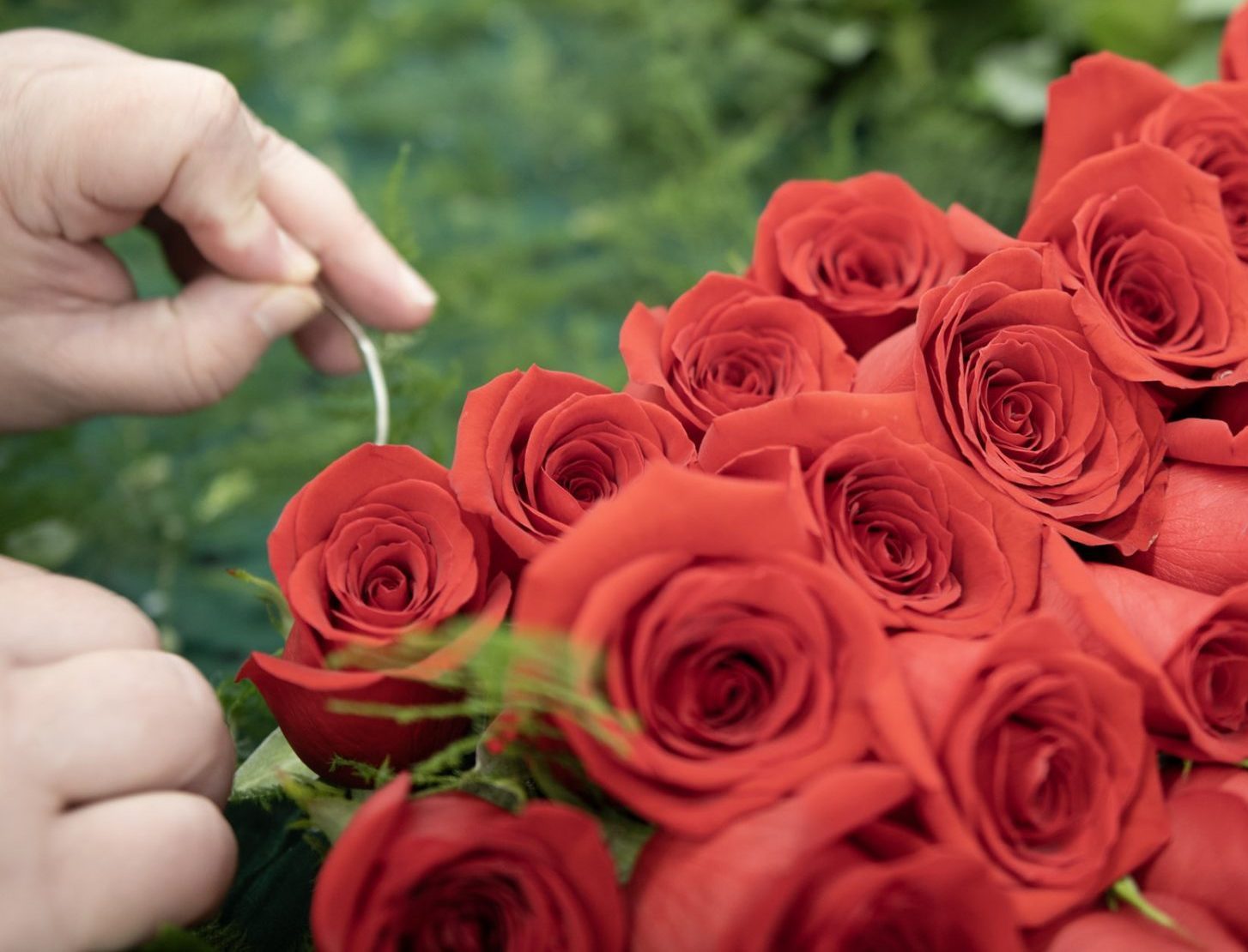 Kroger - Garland of Roses