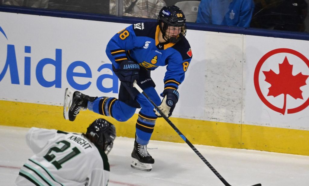 Hilary Knight