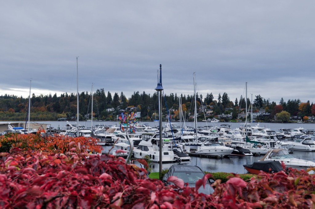 Sailgating