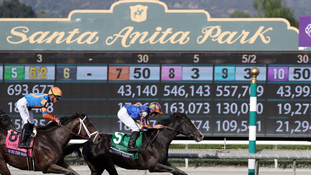 Nov 4, 2023; Santa Anita, CA, USA; Auguste Rodin (5), with jockey Ryan Moore up, wins the BREEDERS CUP TURF during the 2023 Breeders Cup World Championships at Santa Anita Park.